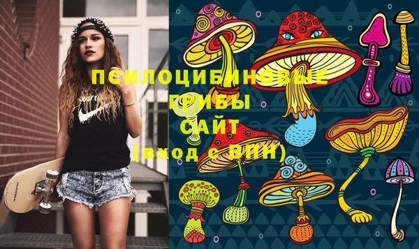 гидропоника Кукмор
