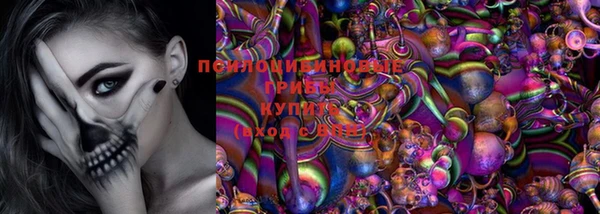 молекула духа Кулебаки