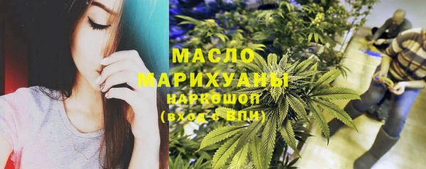 молекула духа Кулебаки