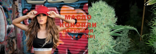 молекула духа Кулебаки