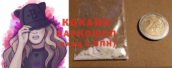 молекула духа Кулебаки