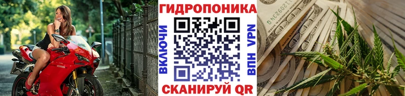 Шишки марихуана индика  дарнет шоп  Краснодар 